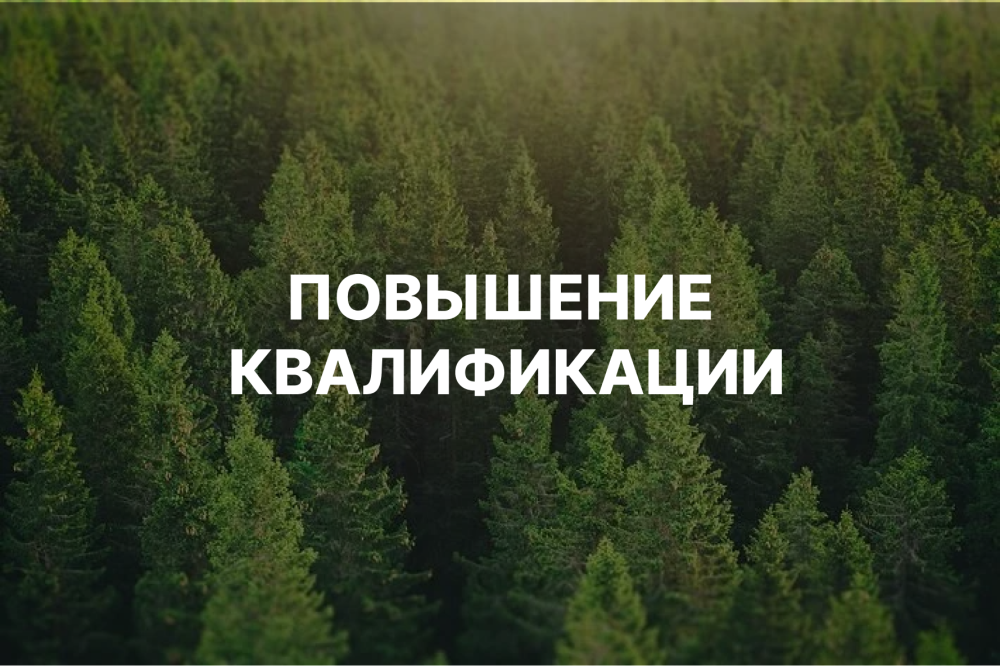 Особенности осуществления государственного лесного контроля (надзора) и лесной охраны